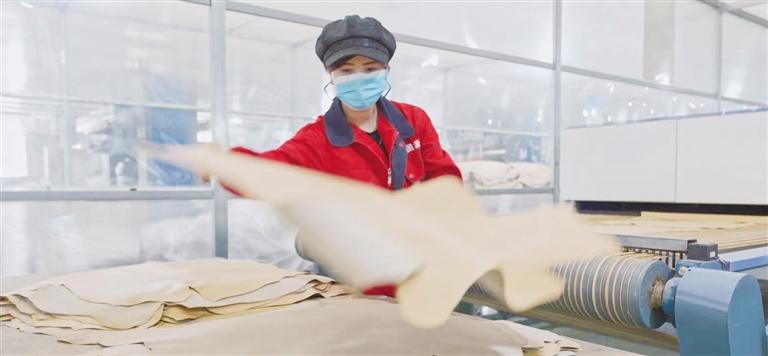 潜心耕耘担使命 更扬云帆立潮头 ——2023年广河县经济社会高质量发展综述